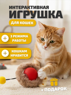 Инфографика