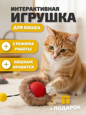 Пример карточки