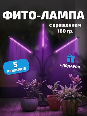 Пример карточки